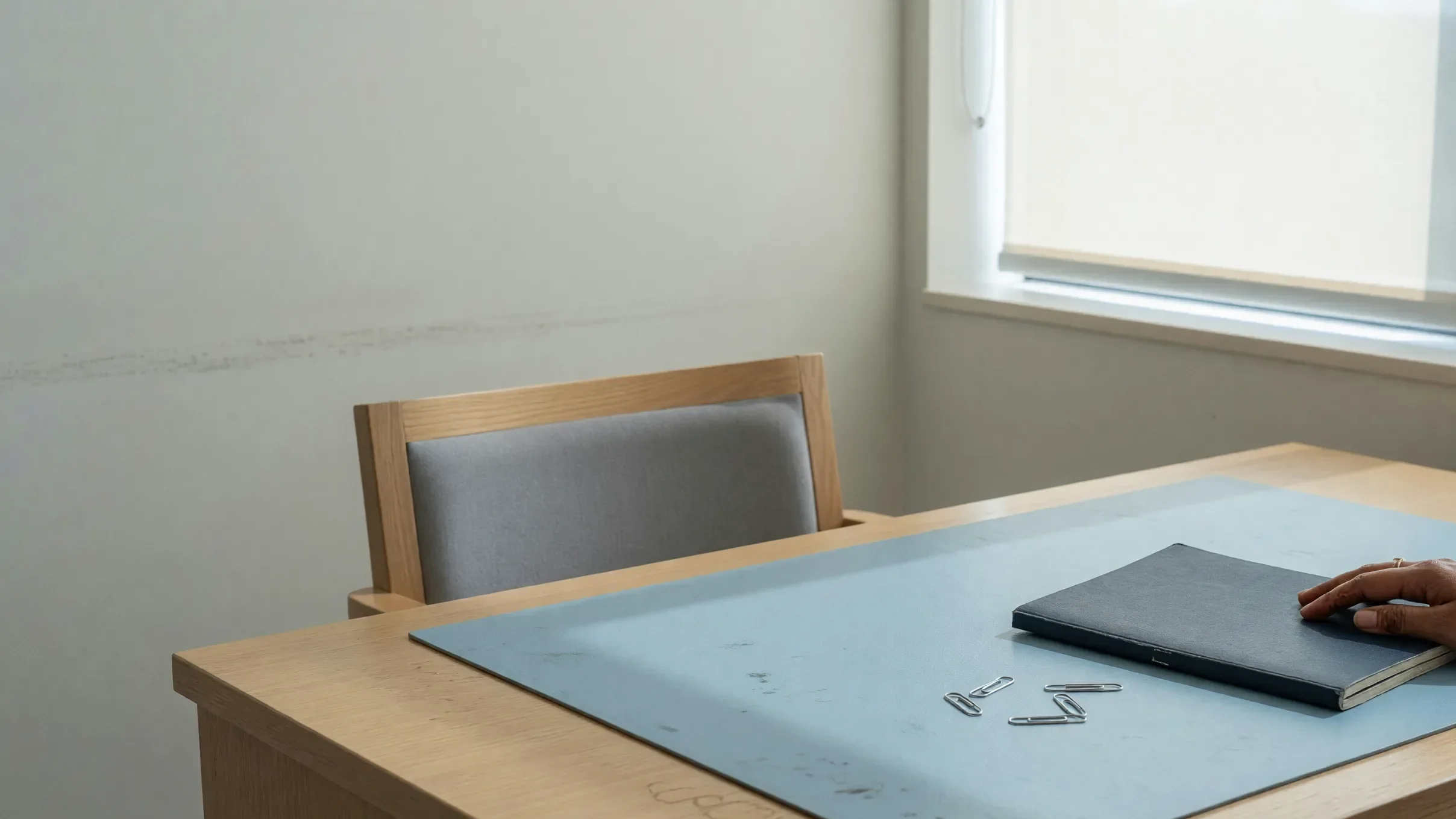 Calm identity-check desk with a closed booklet under a palm